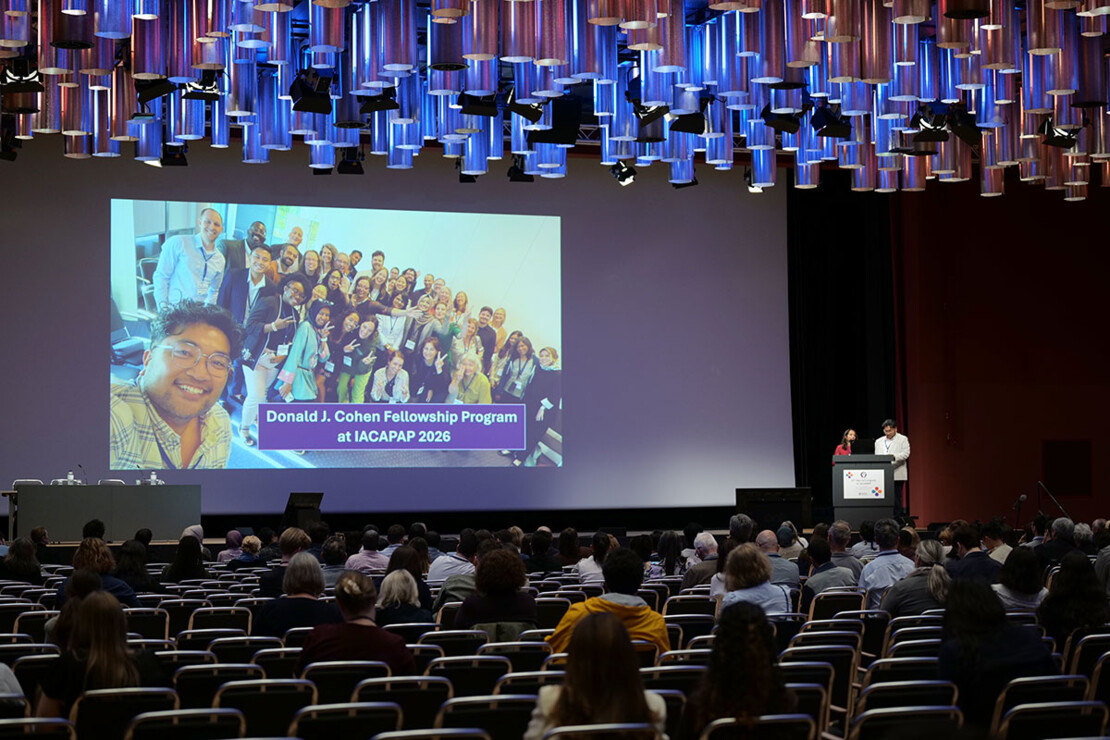 Donald J. Cohen Fellowship Program at IACAPAP 2026